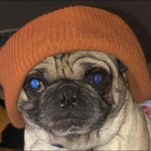 Meet your Posher, Tyler